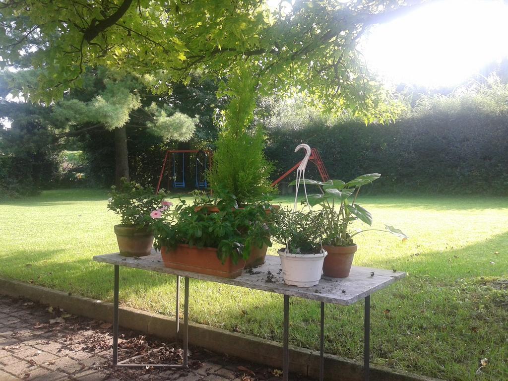 Bed And Breakfast Miotto Montegalda Bagian luar foto