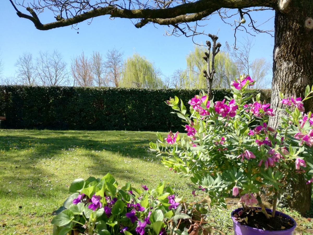Bed And Breakfast Miotto Montegalda Bagian luar foto